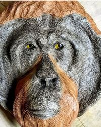 Screenshot_20220915-223514_Instagram